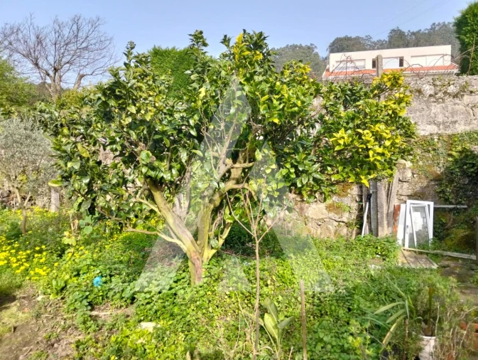 Moradia T2 para Venda em Areosa Foto 8