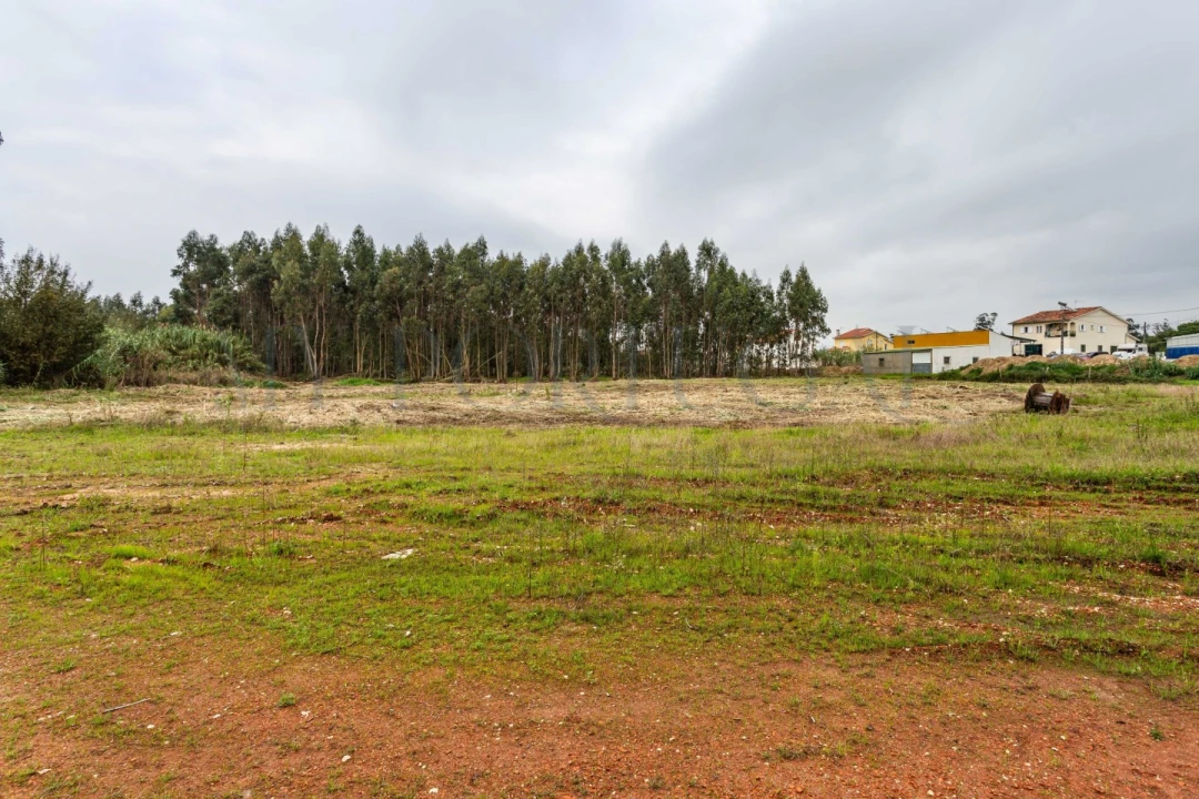 Terreno Comércio / Armazém para Venda em Mira Foto 2