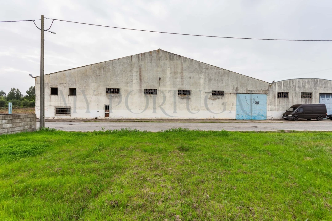 Terreno Comércio / Armazém para Venda em Mira Foto 3