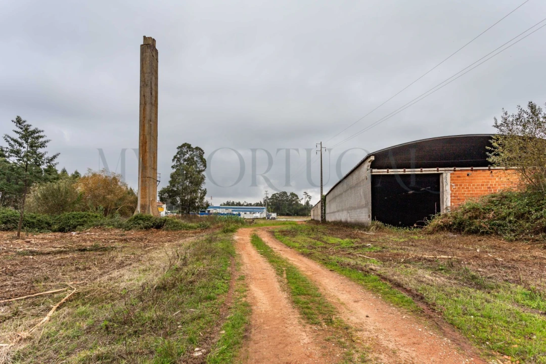 Terreno Comércio / Armazém para Venda em Mira Foto 6