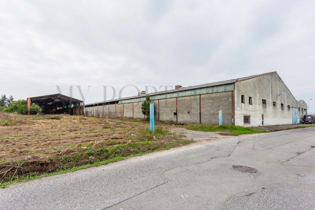 Terreno Comércio / Armazém para Venda em Mira Foto 7