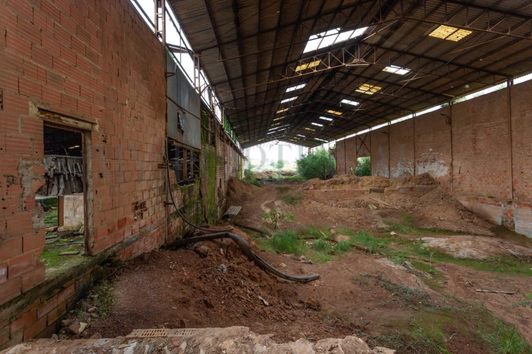 Terreno Comércio / Armazém para Venda em Mira Foto 12