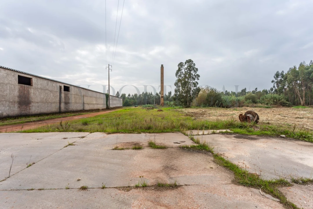 Terreno Comércio / Armazém para Venda em Mira Foto 21