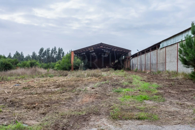 Terreno Comércio / Armazém para Venda em Mira Foto 8