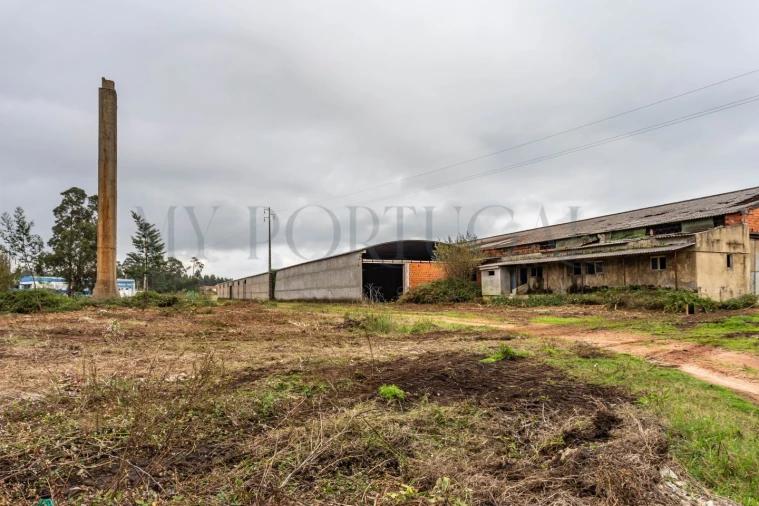 Terreno Comércio / Armazém para Venda em Mira Foto 18