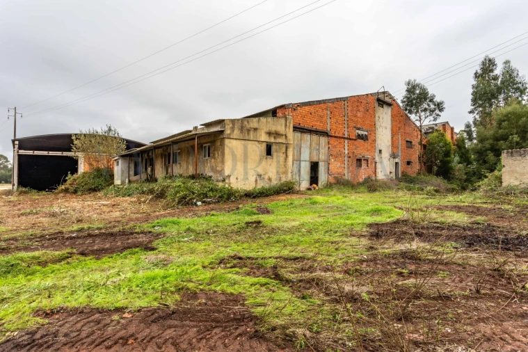 Terreno Comércio / Armazém para Venda em Mira Foto 19
