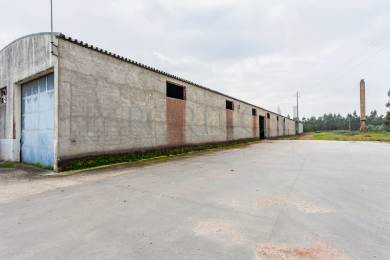 Terreno Comércio / Armazém para Venda em Mira Foto 23