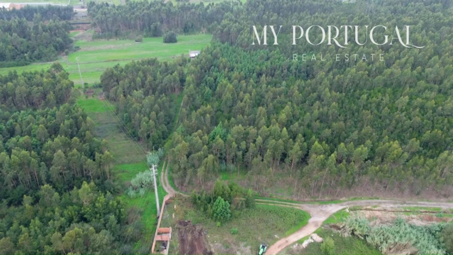 Terreno Comércio / Armazém para Venda em Mira Foto 31