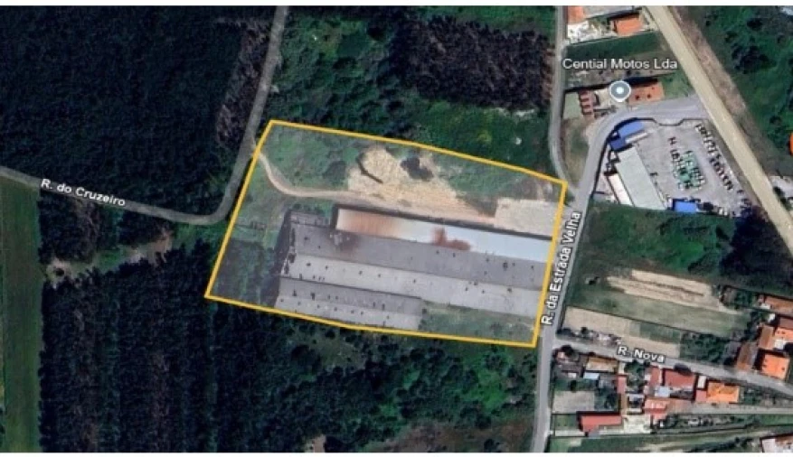 Terreno Comércio / Armazém para Venda em Mira Planta 1