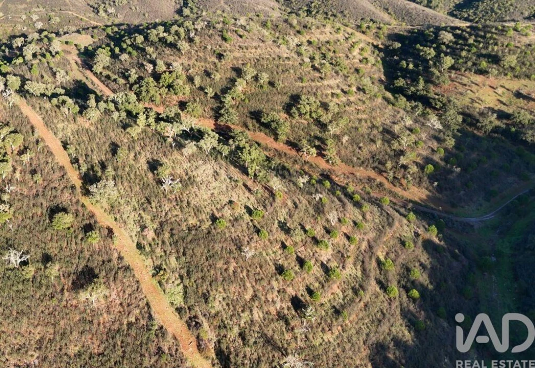 Quinta para Venda em Santa Clara-A-Velha Foto 6