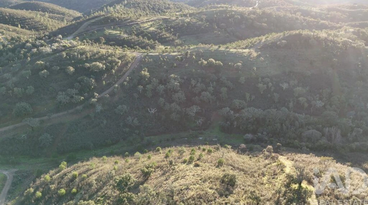 Quinta para Venda em Santa Clara-A-Velha Foto 11