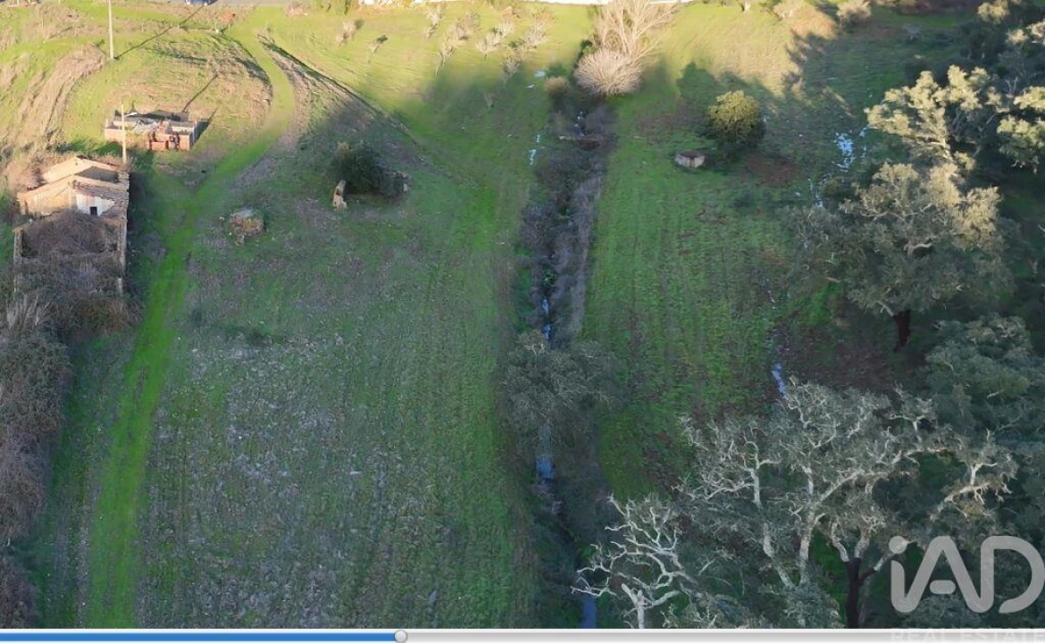 Quinta para Venda em Santa Clara-A-Velha Foto 4