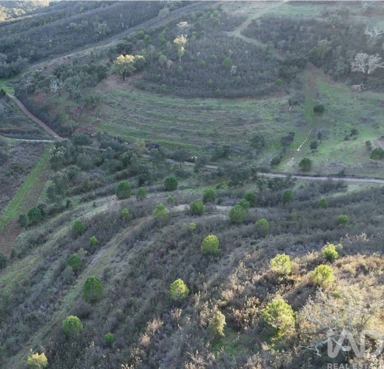 Quinta para Venda em Santa Clara-A-Velha Foto 8