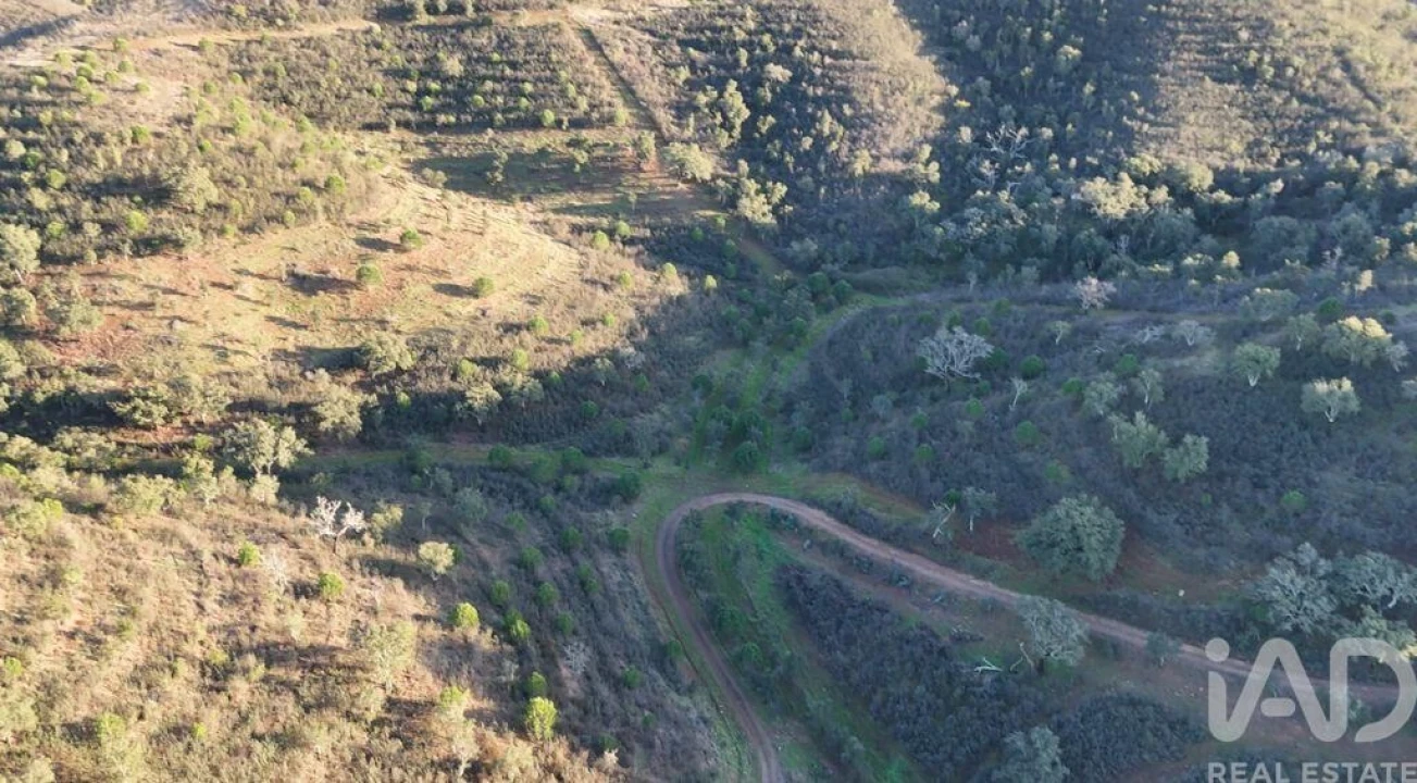 Quinta para Venda em Santa Clara-A-Velha Foto 16