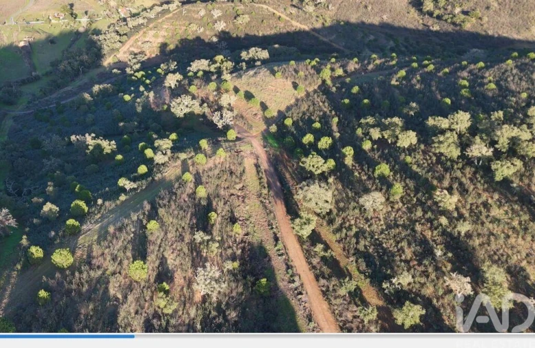 Quinta para Venda em Santa Clara-A-Velha Foto 5