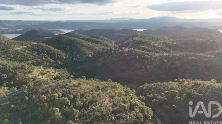 Quinta para Venda em Santa Clara-A-Velha Foto 12