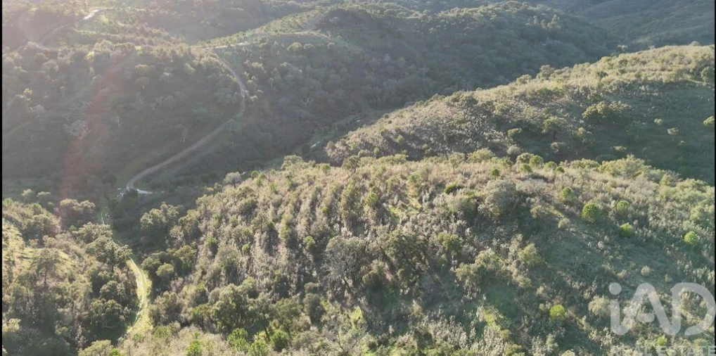Quinta para Venda em Santa Clara-A-Velha Foto 15