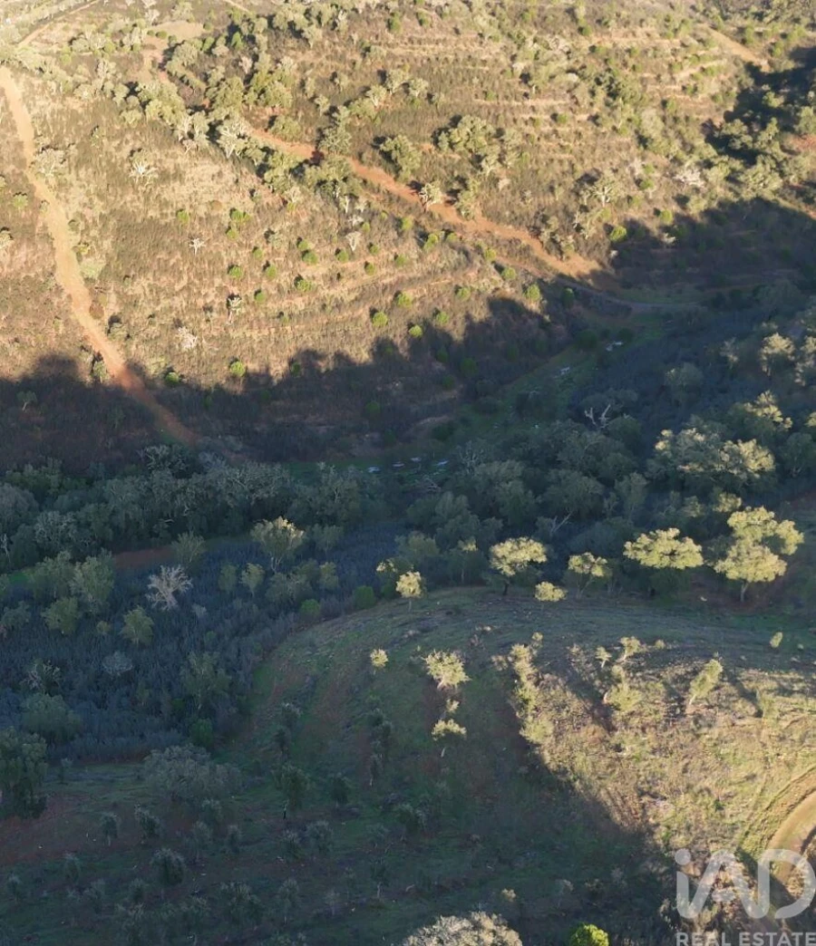 Quinta para Venda em Santa Clara-A-Velha Foto 7