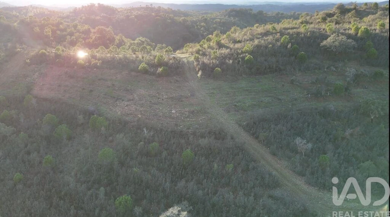 Quinta para Venda em Santa Clara-A-Velha Foto 9