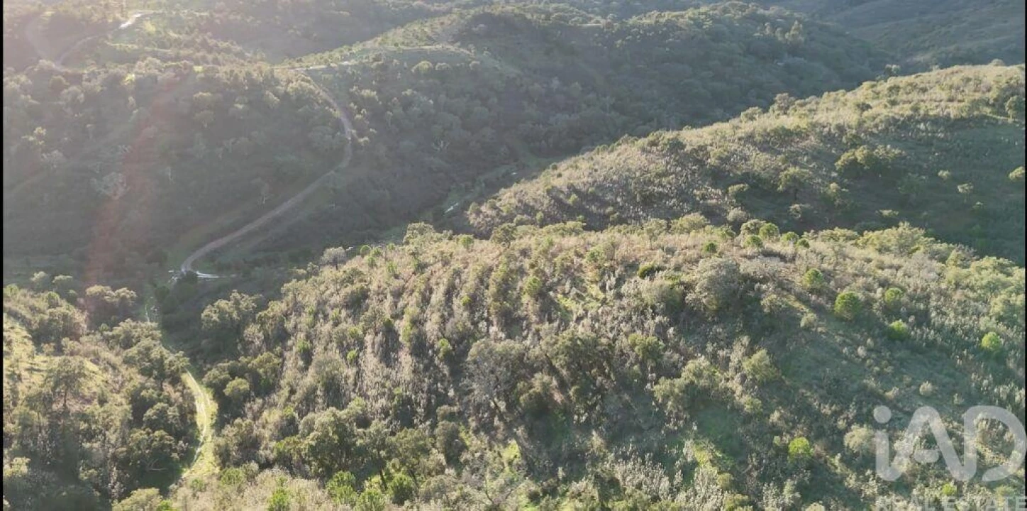 Quinta para Venda em Santa Clara-A-Velha Foto 15