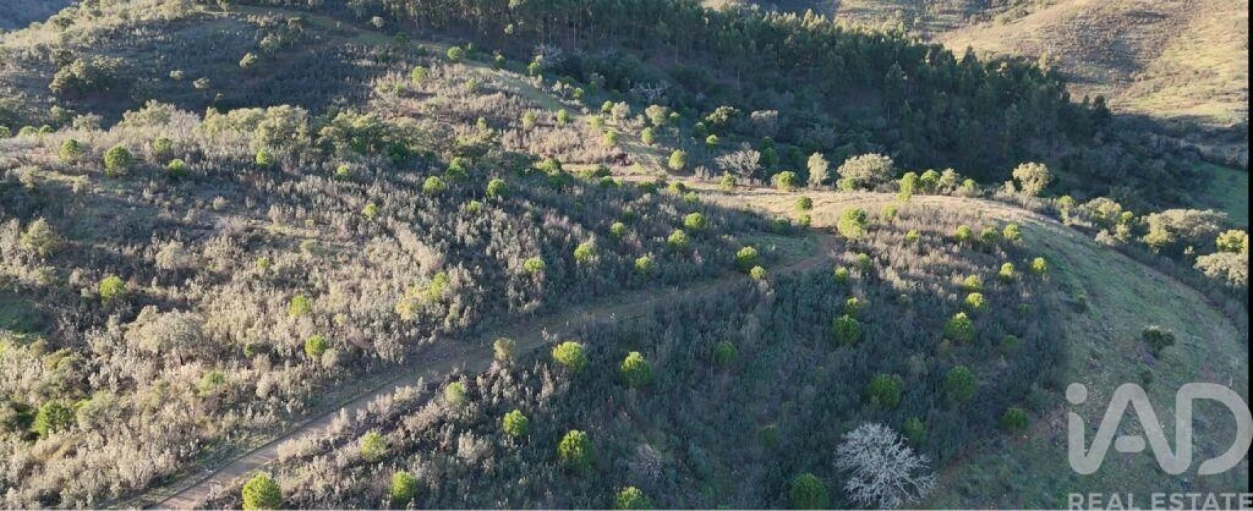 Quinta para Venda em Santa Clara-A-Velha Foto 10