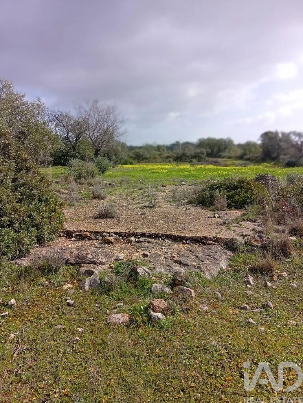 Terreno para Venda em Conceição e Estoi Foto 9