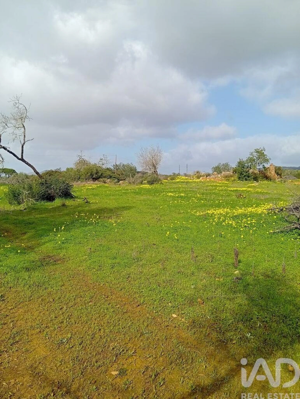 Terreno para Venda em Conceição e Estoi Foto 7