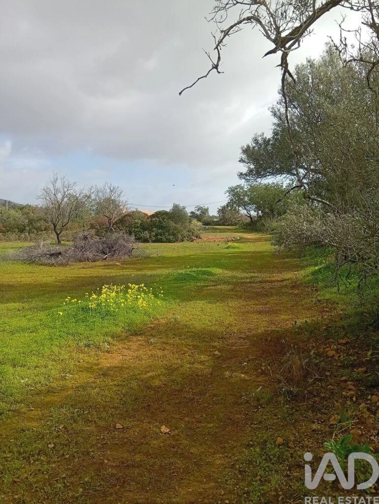 Terreno para Venda em Conceição e Estoi Foto 4