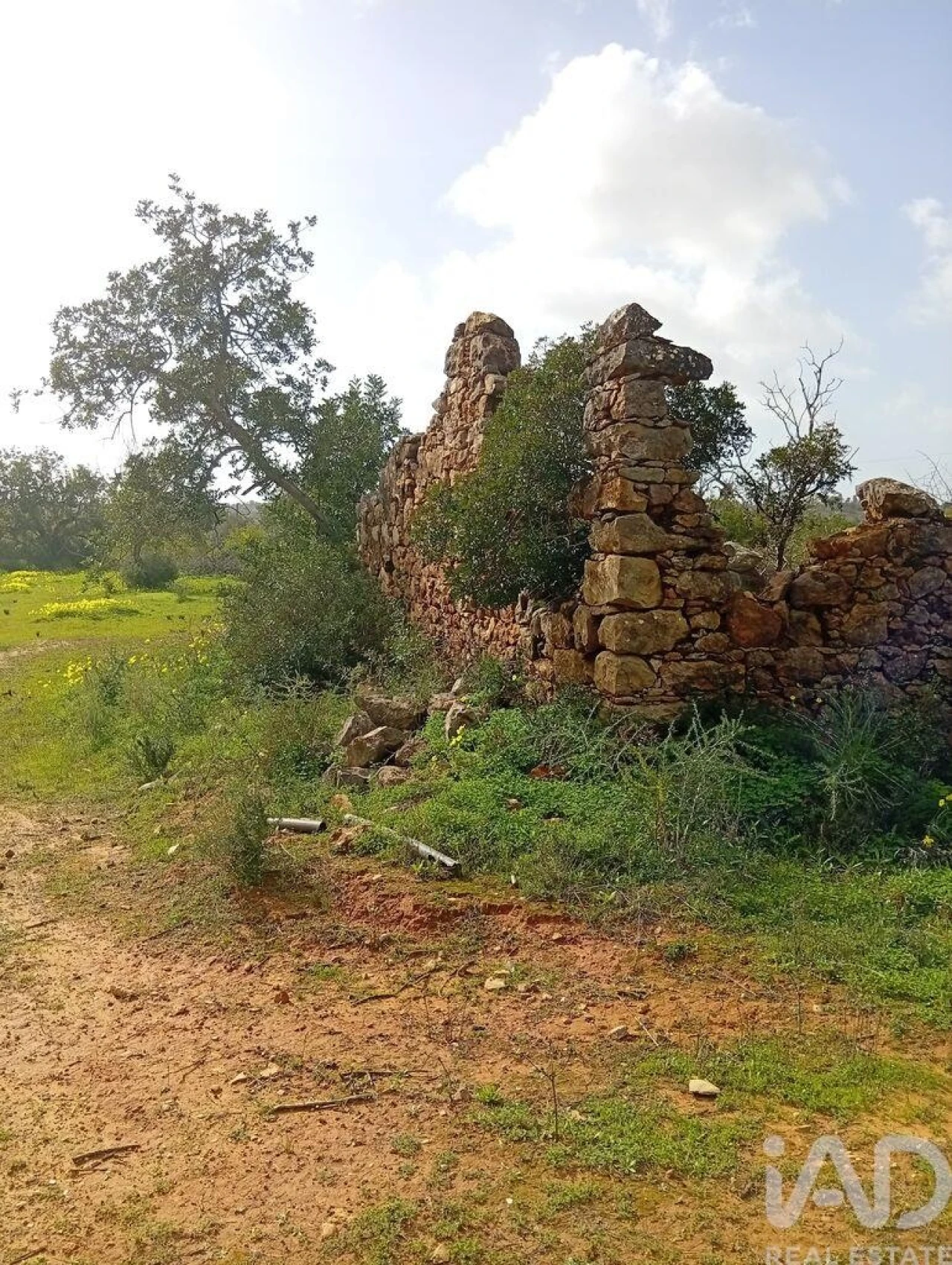 Terreno para Venda em Conceição e Estoi Foto 12