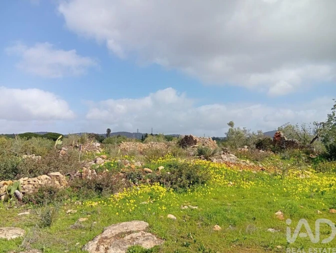 Terreno para Venda em Conceição e Estoi Foto 10