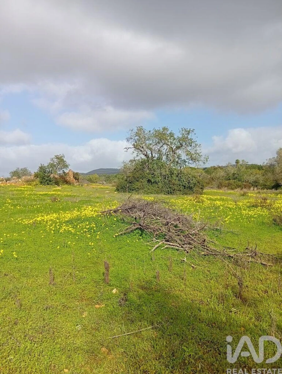 Terreno para Venda em Conceição e Estoi Foto 8