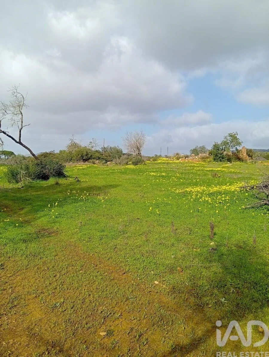 Terreno para Venda em Conceição e Estoi Foto 7