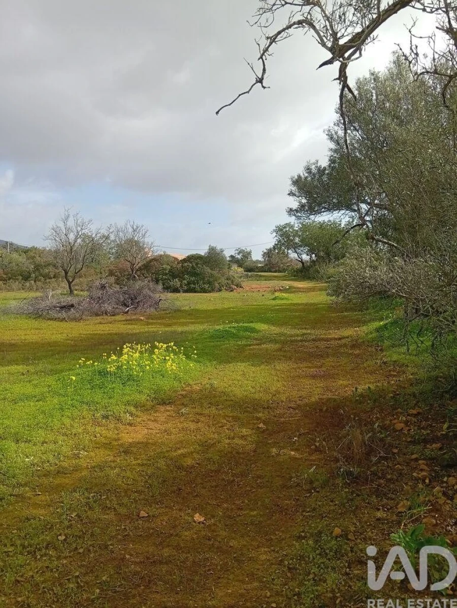 Terreno para Venda em Conceição e Estoi Foto 4