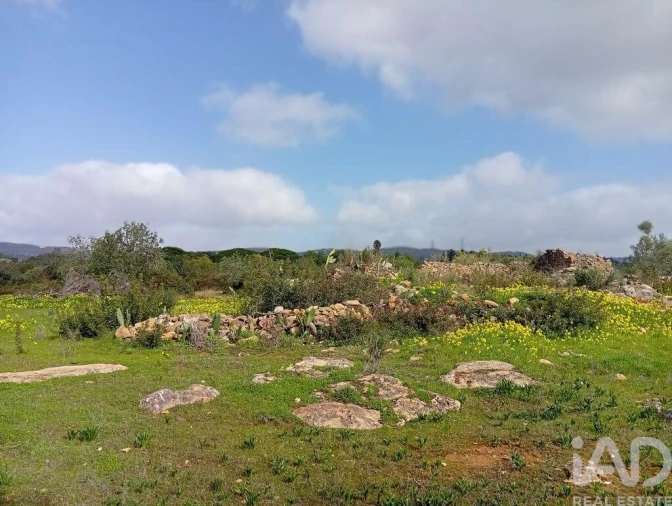 Terreno para Venda em Conceição e Estoi Foto 11