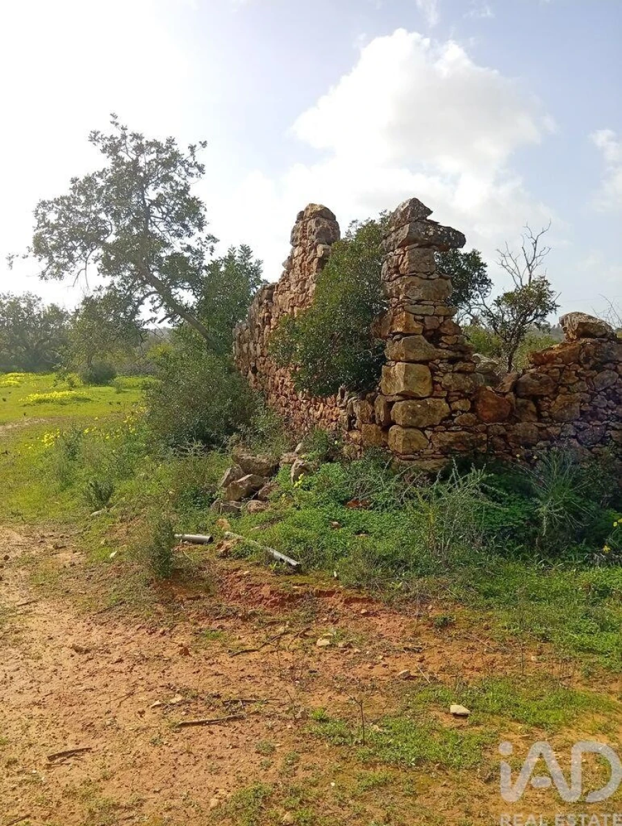 Terreno para Venda em Conceição e Estoi Foto 12