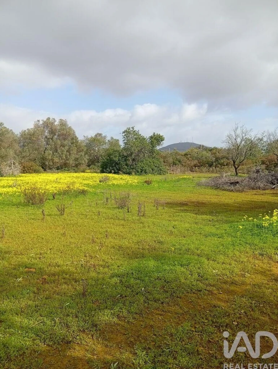 Terreno para Venda em Conceição e Estoi Foto 5