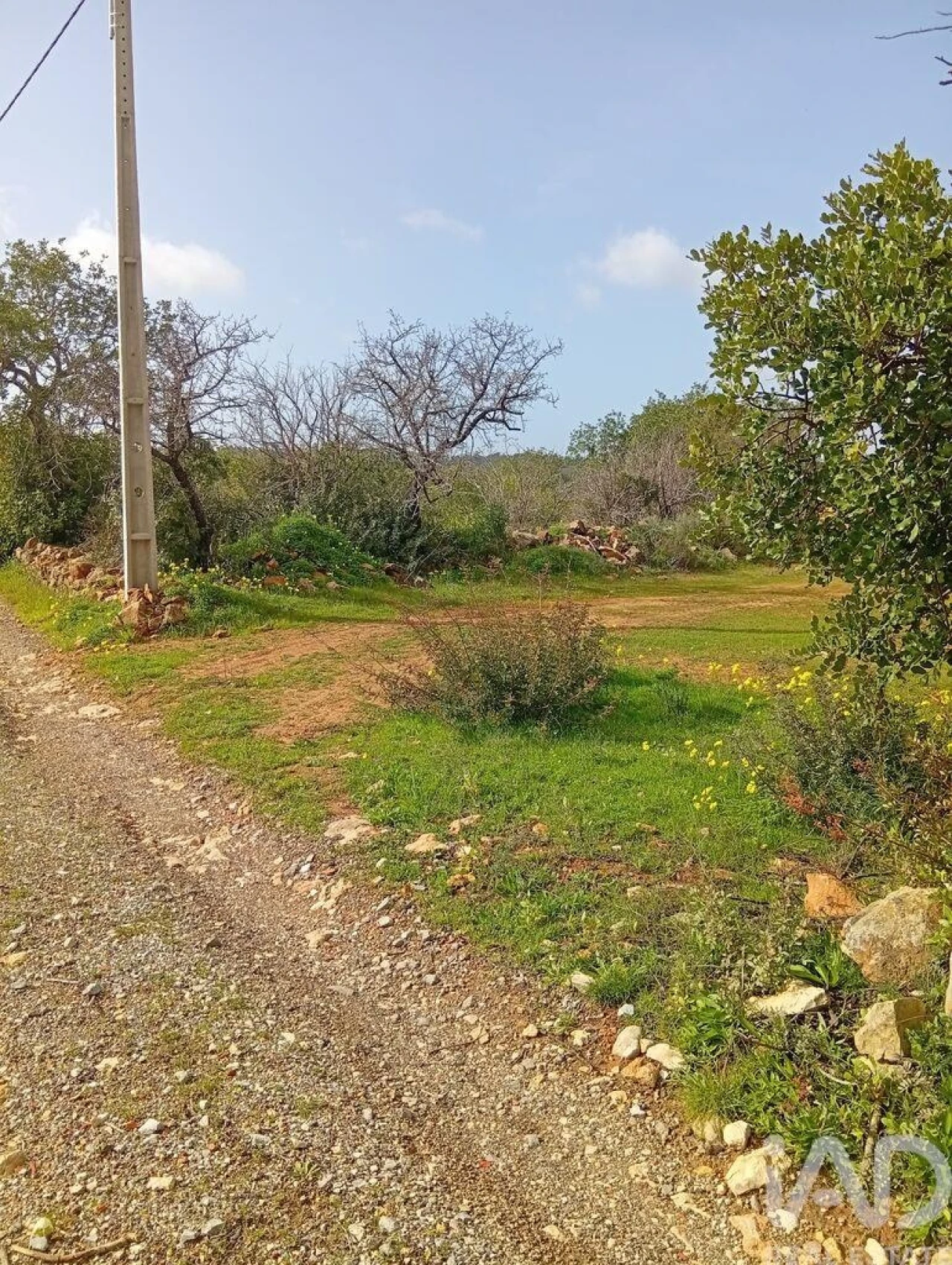 Terreno para Venda em Conceição e Estoi Foto 3