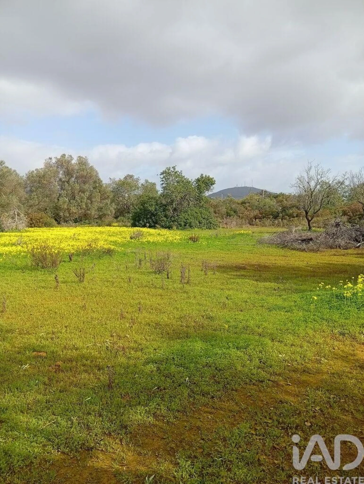 Terreno para Venda em Conceição e Estoi Foto 5