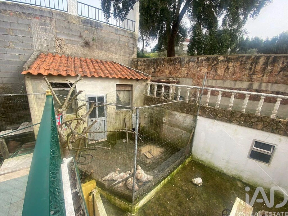 Moradia T3 para Venda em Lamas e Cercal Foto 11