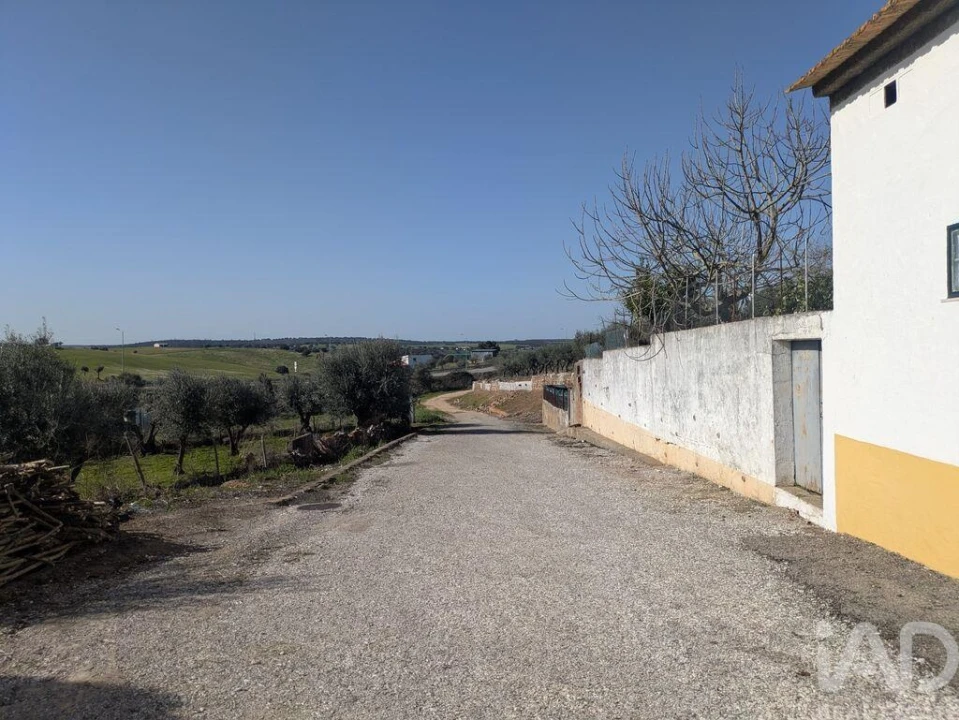 Moradia T1 para Venda em Fronteira Foto 9