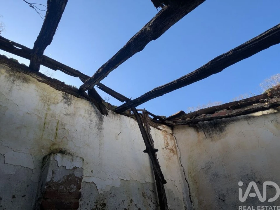 Moradia T1 para Venda em Fronteira Foto 7