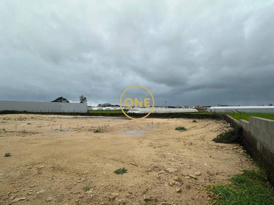 Terreno para Arrendamento em Estela Foto 3