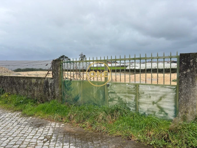 Terreno para Arrendamento em Estela