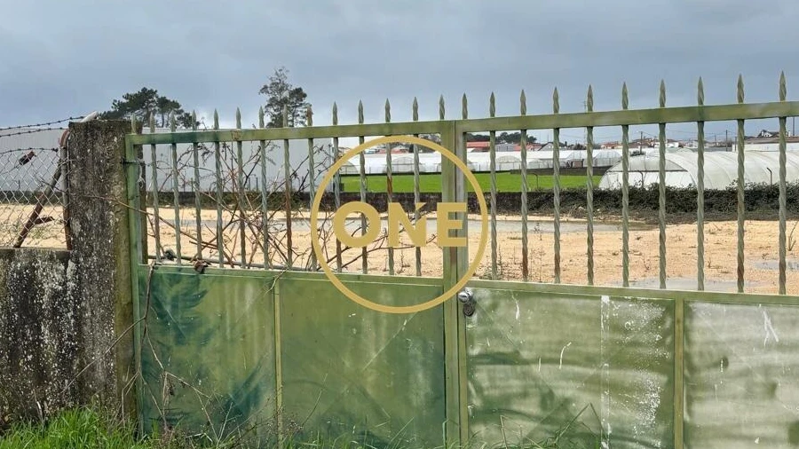 Terreno para Arrendamento em Estela