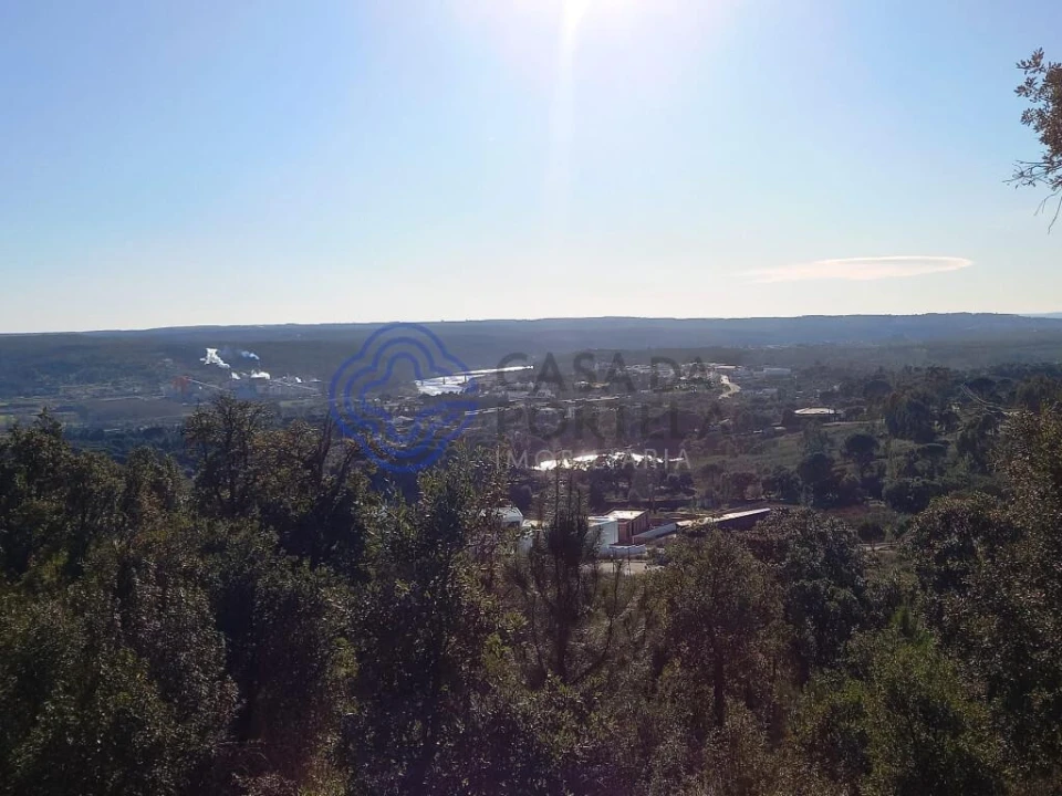Terreno para Venda em Constancia Foto 17