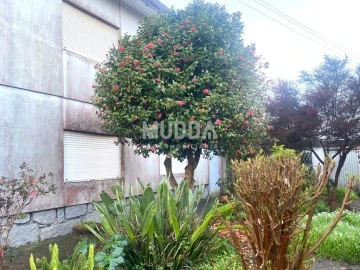 Moradia T5 para Venda em Maceda