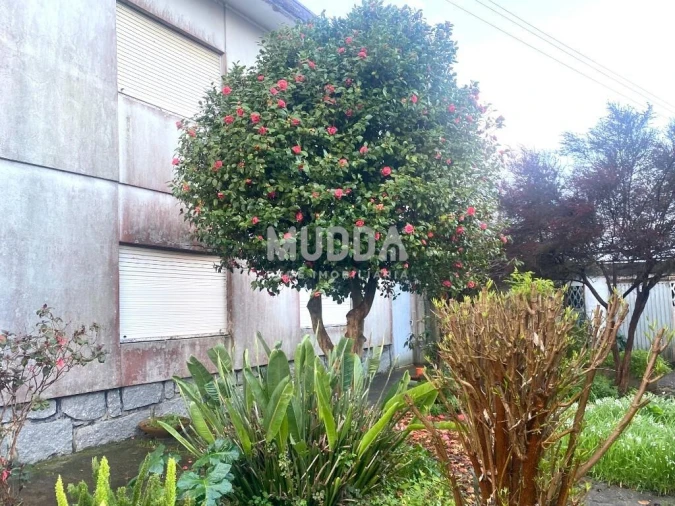 Moradia T5 para Venda em Maceda Foto 28