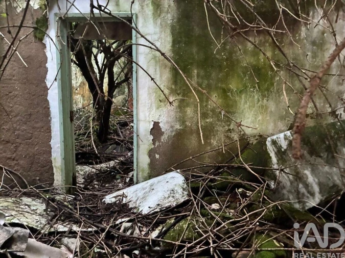Prédio para Venda em Alenquer (Santo Estêvão e Triana) Foto 12