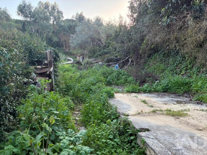 Prédio para Venda em Alenquer (Santo Estêvão e Triana) Foto 13