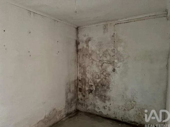 Prédio para Venda em Alenquer (Santo Estêvão e Triana) Foto 6